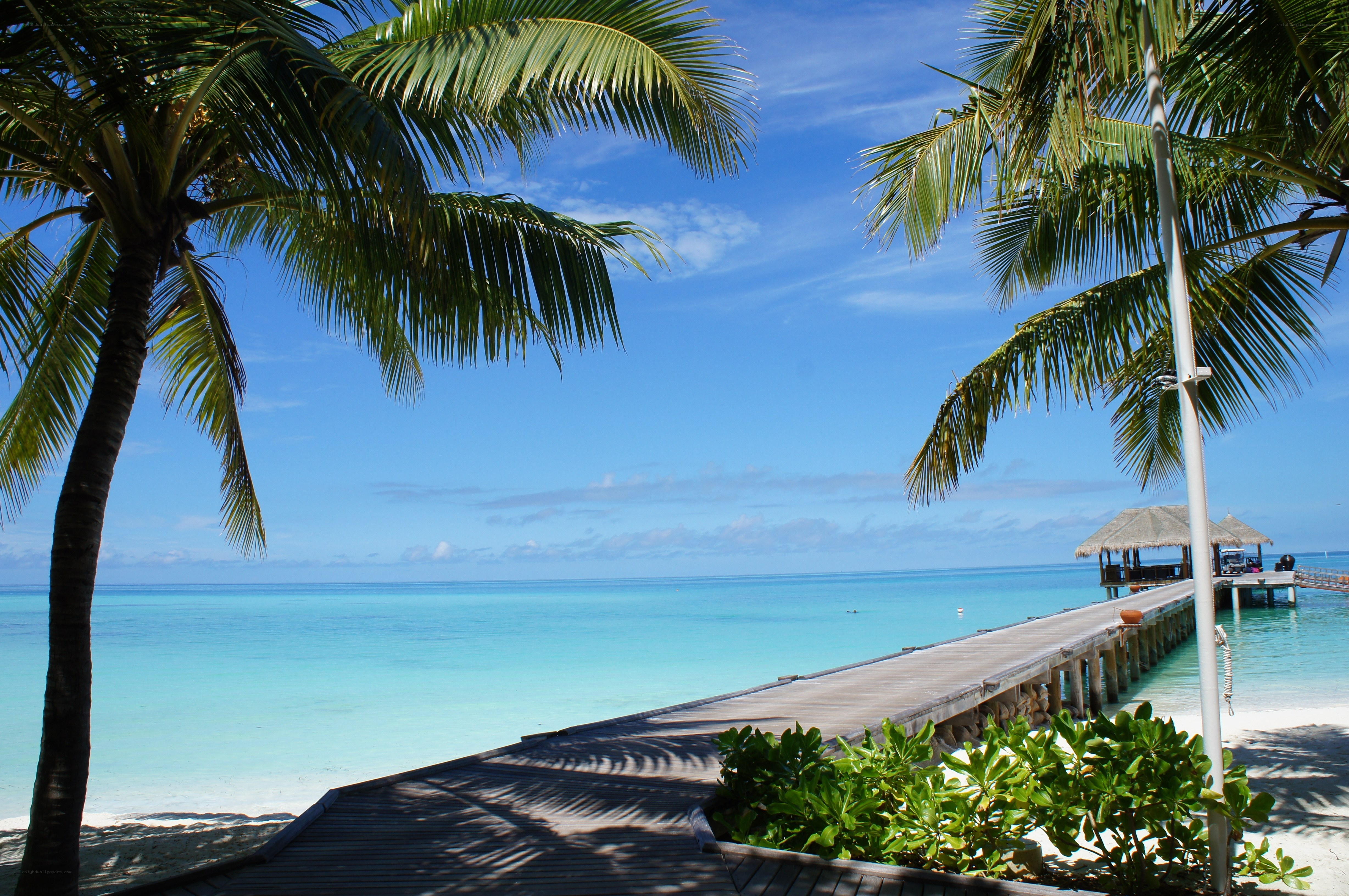 tropical beach with pier