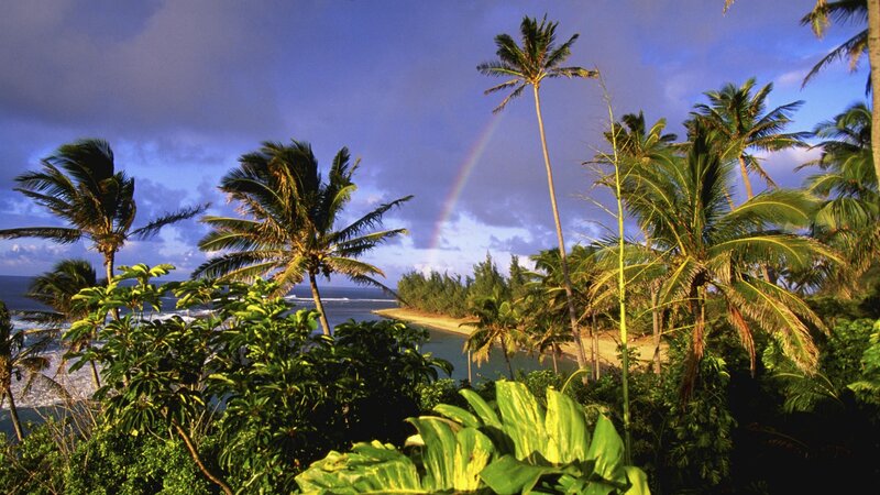 tropical beach with rainbow