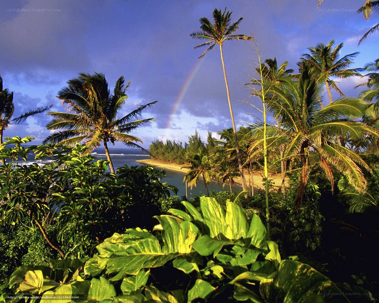 Tropical beach with rainbow