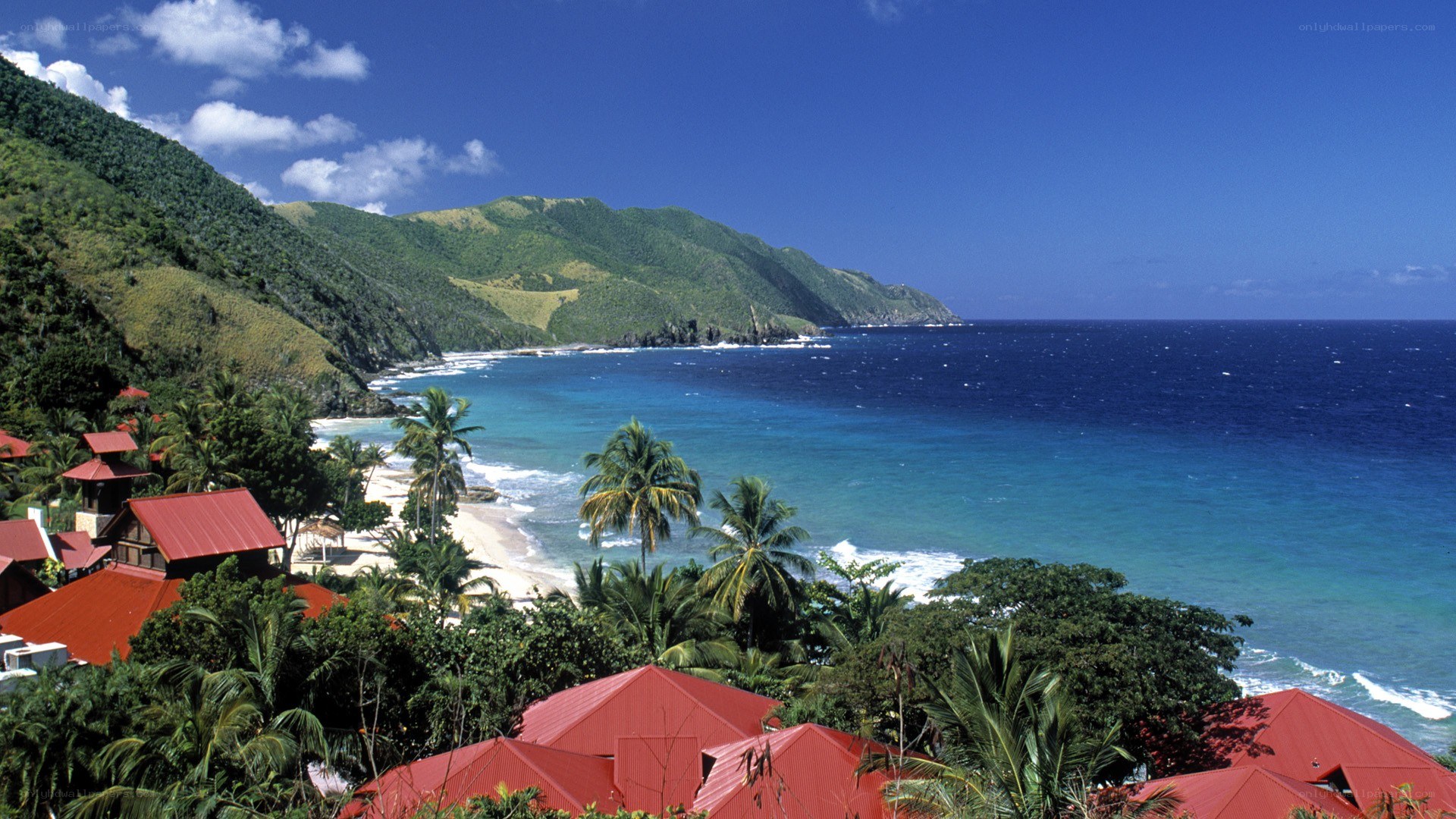 tropical beach with red-roofed buildings