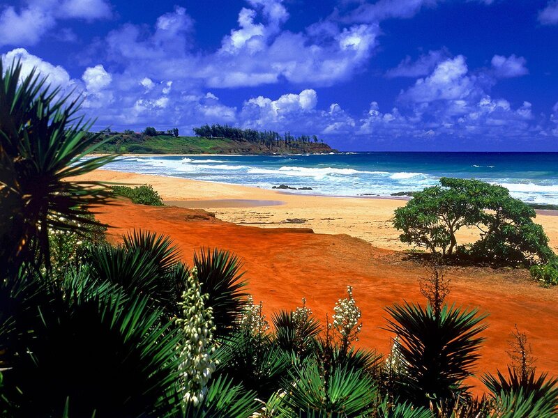 tropical beach with red sand