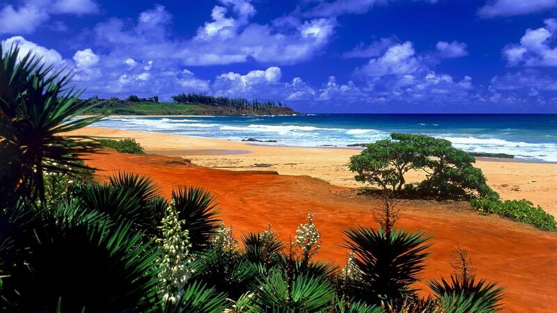 tropical beach with red sand