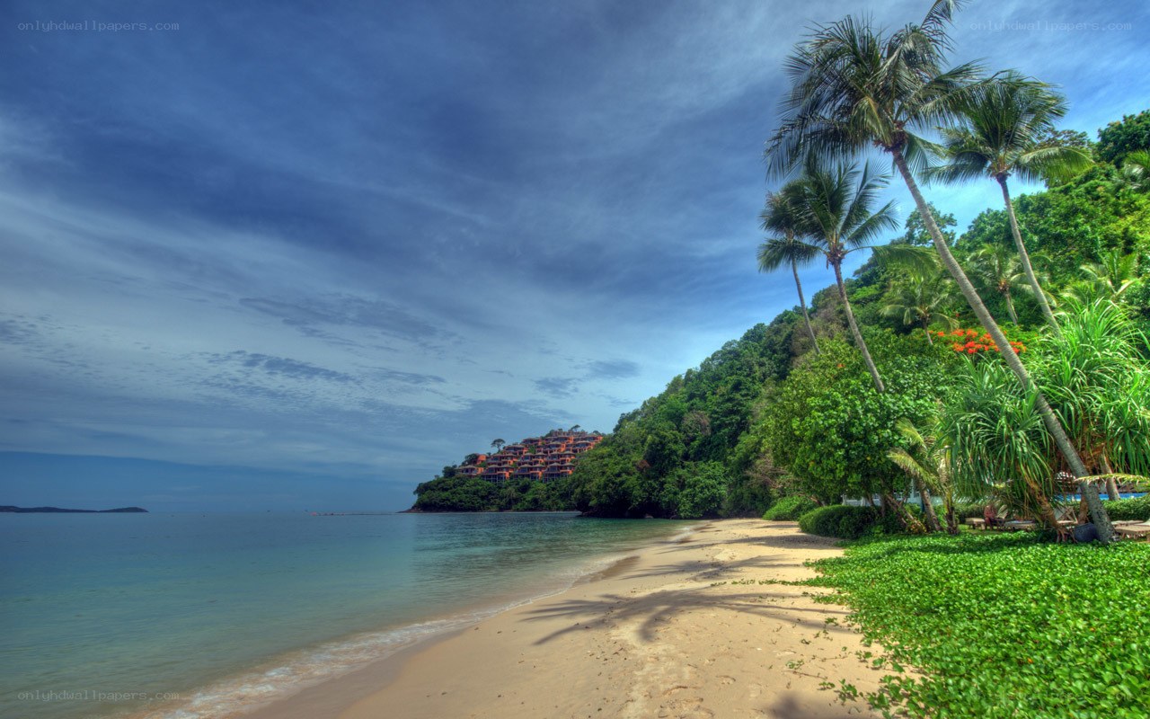 tropical beach with resort