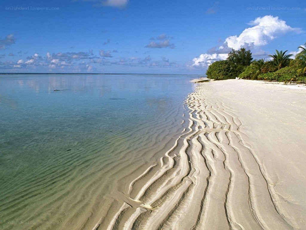 tropical beach with rippled sand