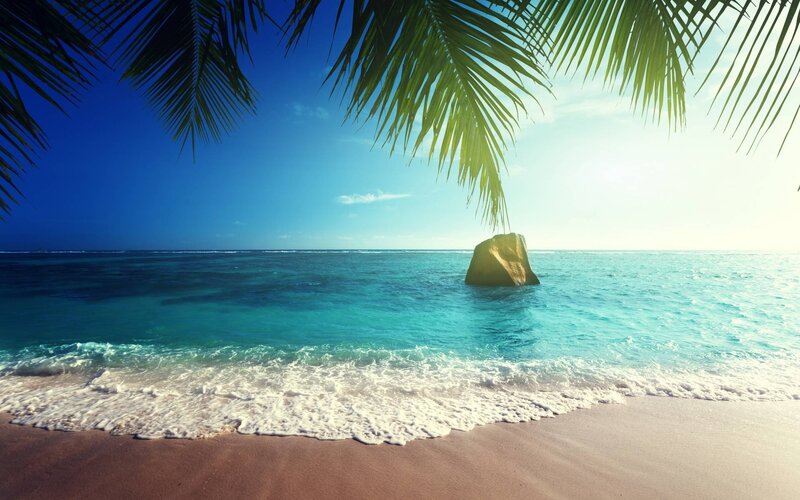 Tropical Beach with Rock — Blue