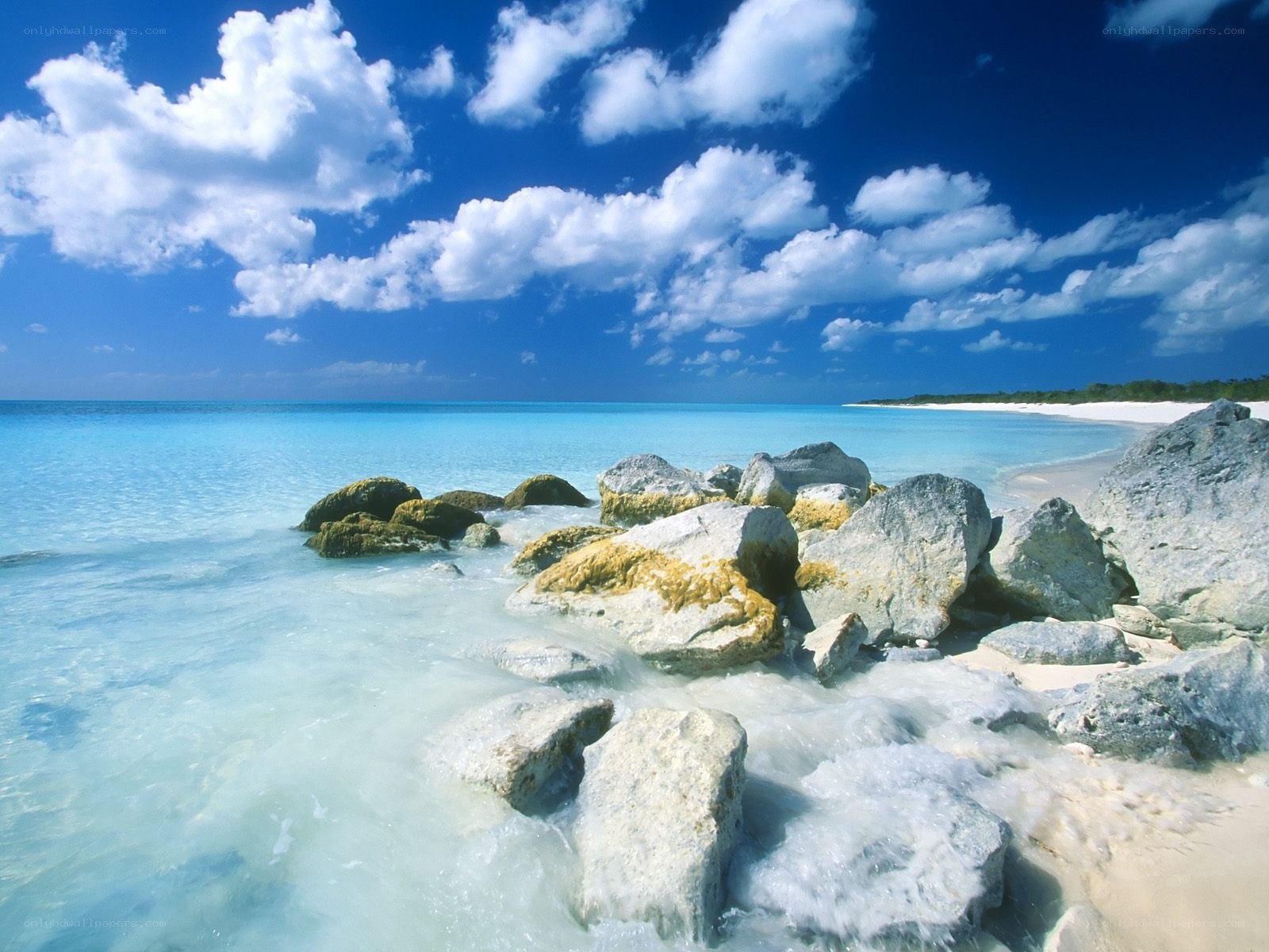 tropical beach with rocks