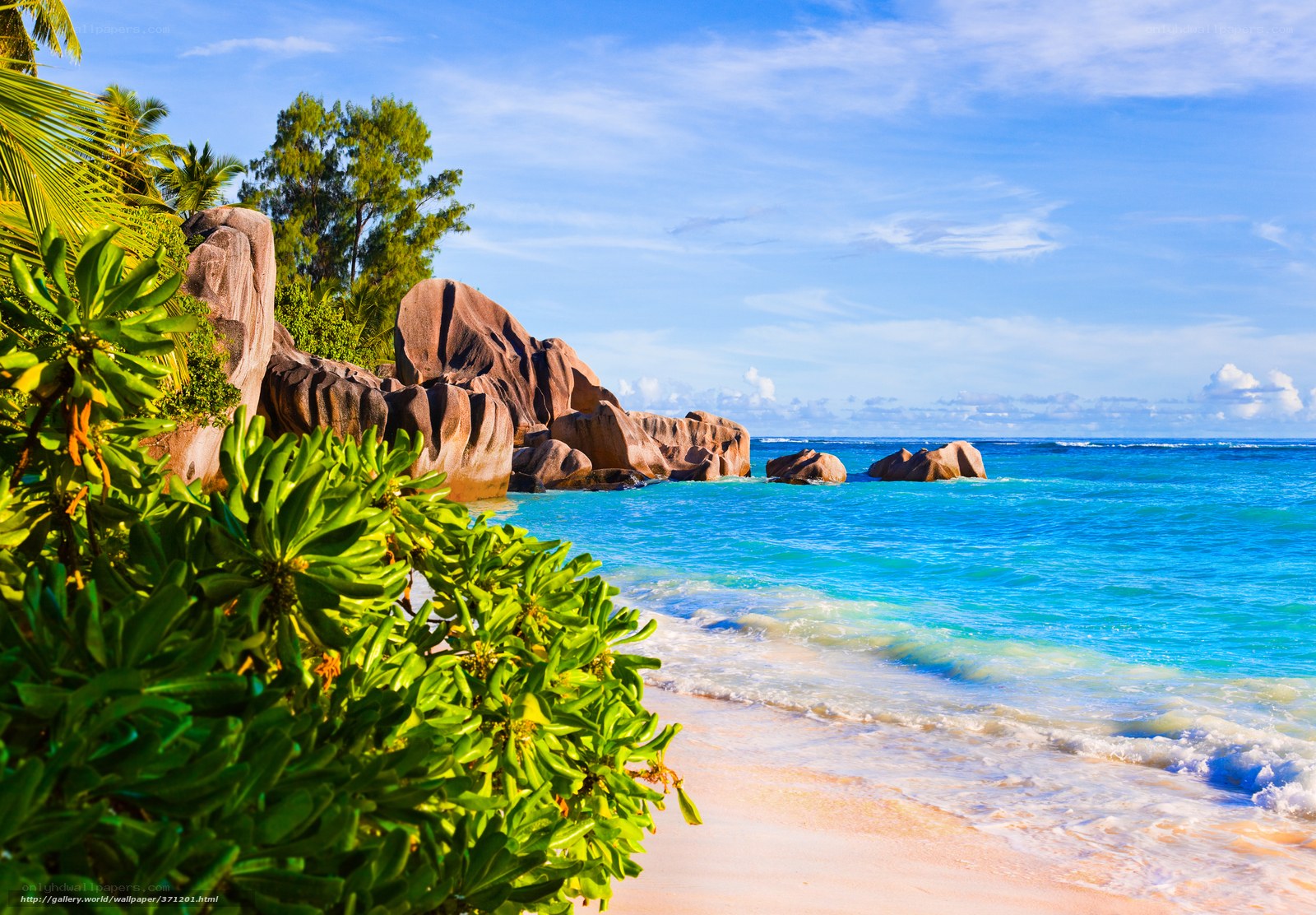 tropical beach with rocks and palm trees