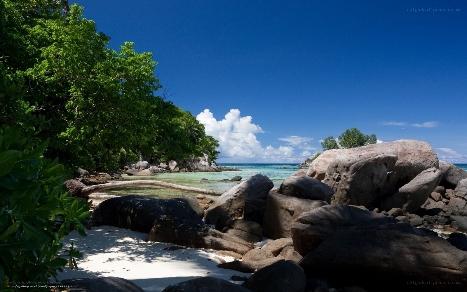 tropical beach with rocks and trees