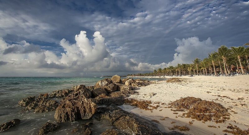 Tropical Beach with Rocks — Blue, Dramatic, Afternoon