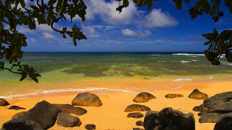 Tropical Beach with Rocks — Blue, Serene, Afternoon, Photograph, Ocean, Trees