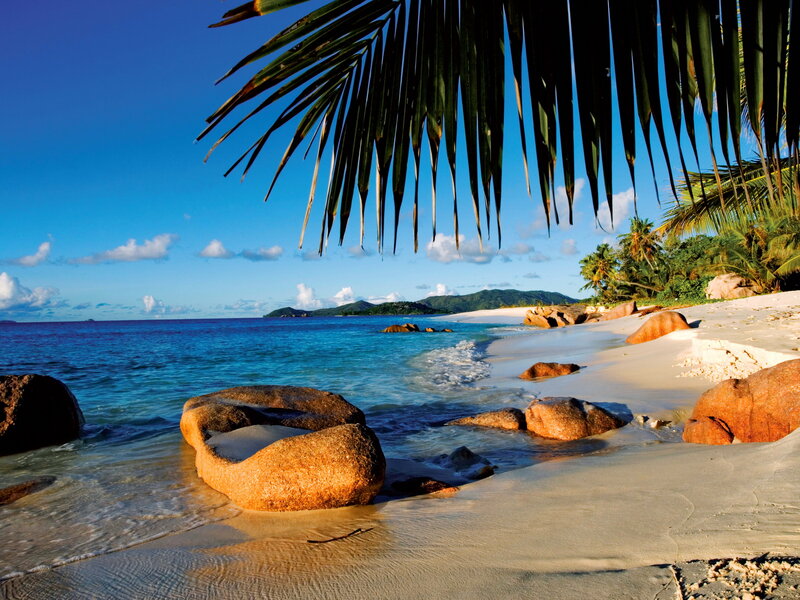 Tropical Beach with Rocks — Blue, Serene, Afternoon, Photograph, Palm Fronds