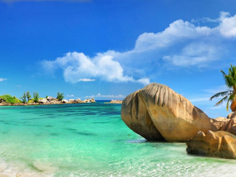 Tropical Beach with Rocks — Blue, Serene, Afternoon, Photograph, Palm Tree, Island