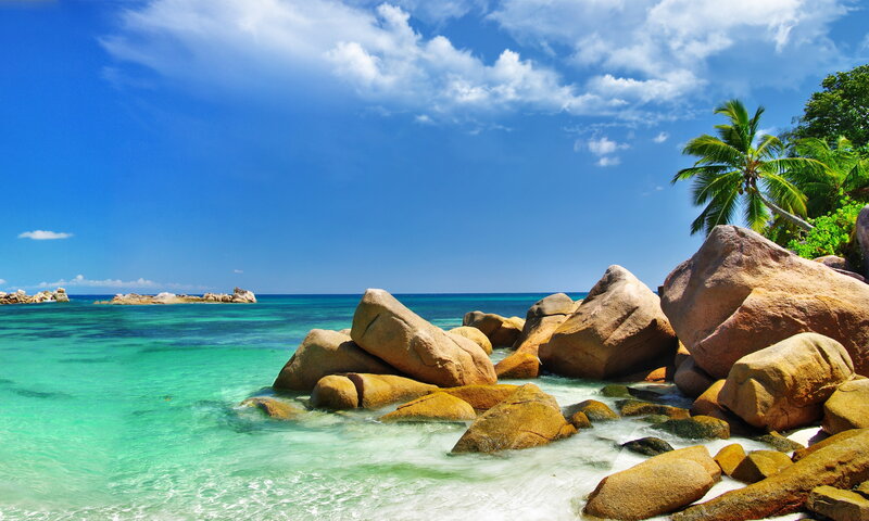 Tropical Beach with Rocks — Blue, Serene, Afternoon, Photograph, Palm Tree, Ocean, Sky