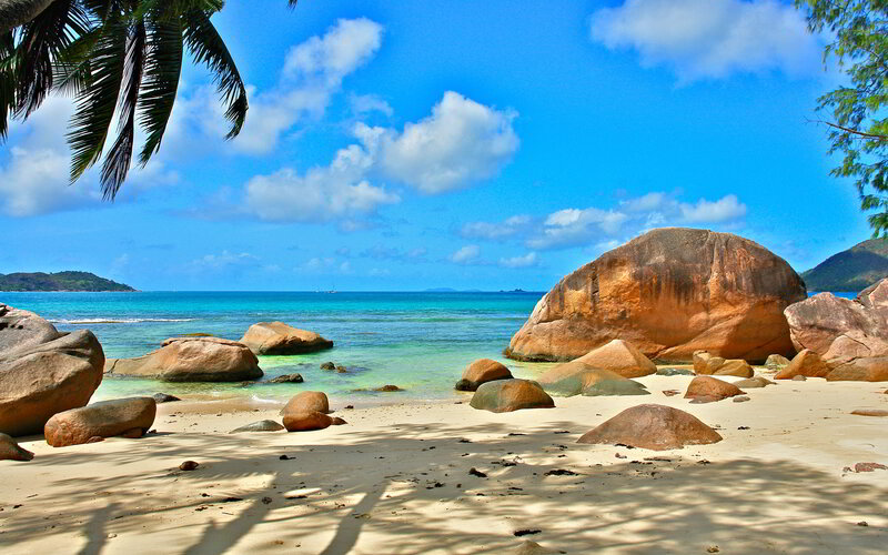 Tropical Beach with Rocks — Blue, Serene, Afternoon, Photograph, Palm Tree, Ocean