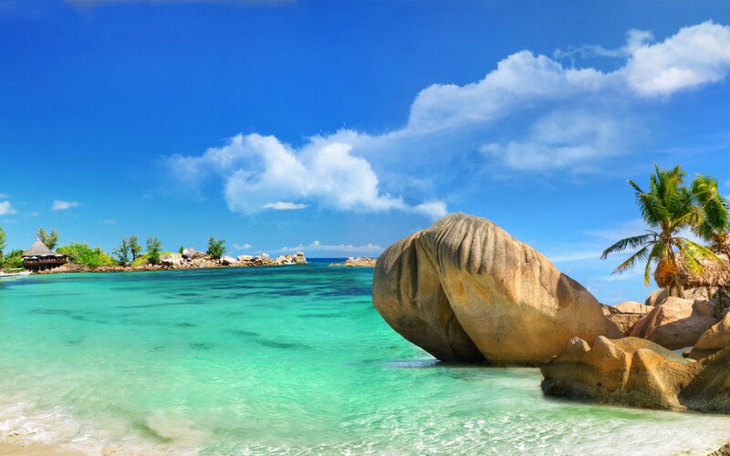 Tropical Beach with Rocks — Blue, Serene, Afternoon, Photograph, Palm Tree, Rock