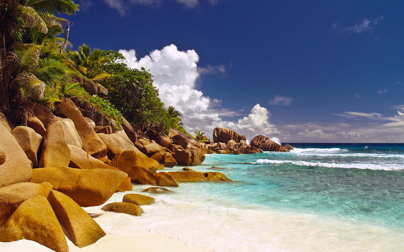 Tropical Beach with Rocks — Blue, Serene, Afternoon, Photograph, Palm Trees, Ocean, Clouds