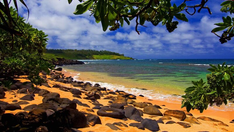 Tropical Beach with Rocks — Blue, Serene, Afternoon, Photograph, Trees, Ocean, Sand
