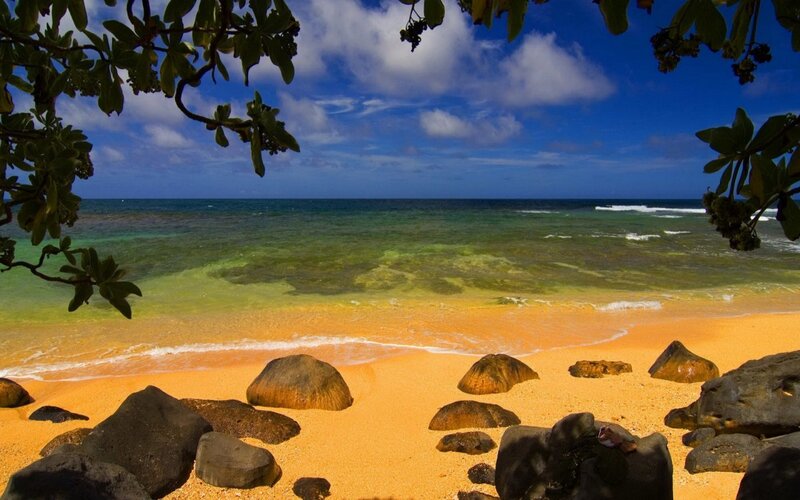 Tropical Beach with Rocks — Blue, Serene, Afternoon, Photograph, Trees, Ocean