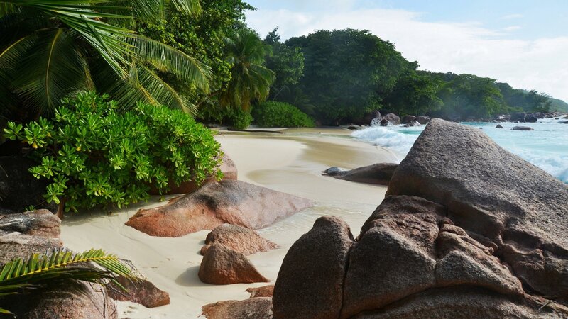 Tropical Beach with Rocks — Green