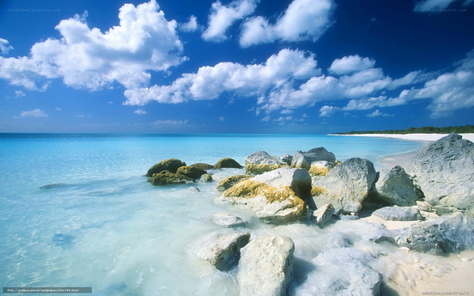 tropical beach with rocks