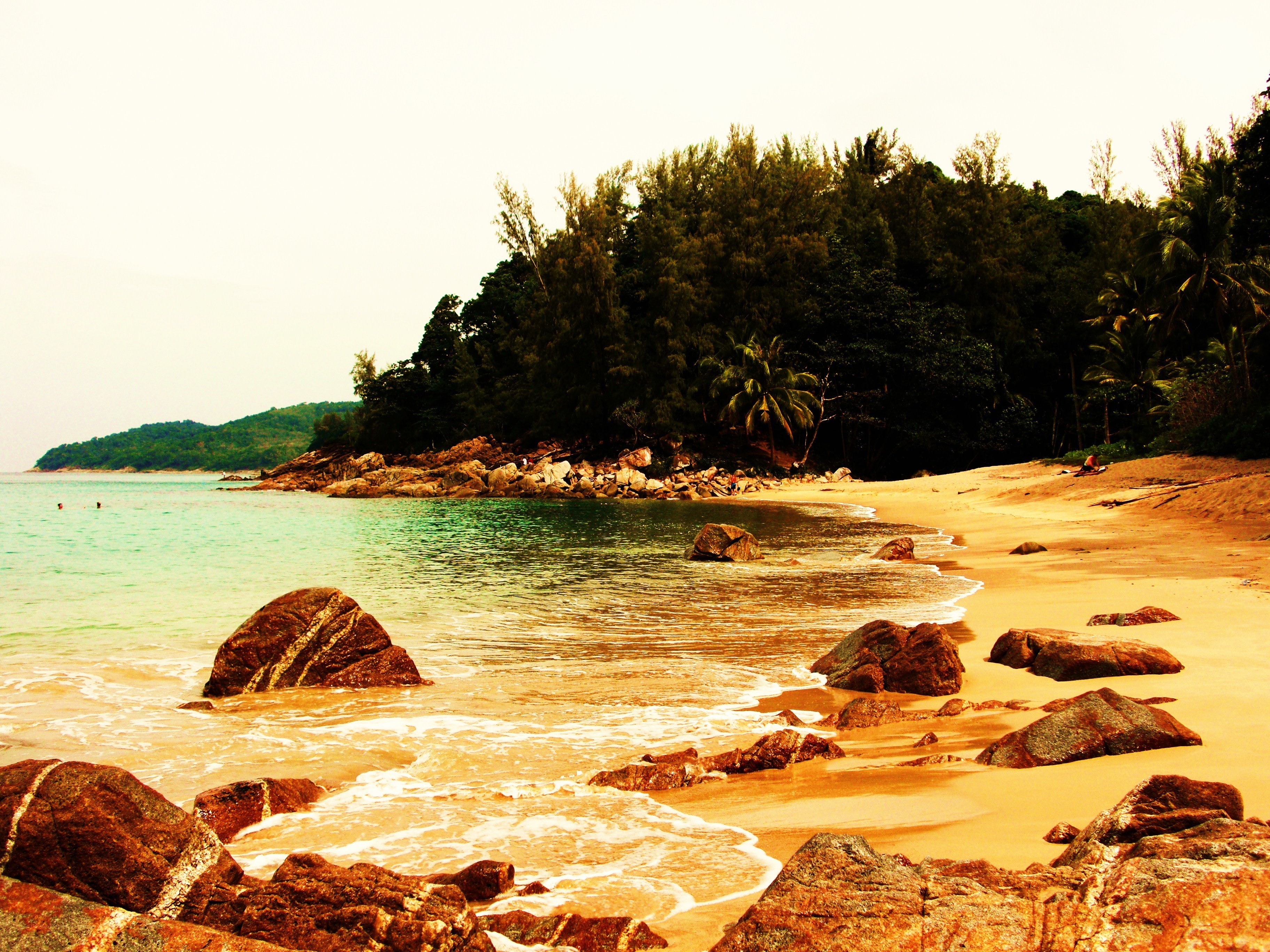 tropical beach with rocky shore