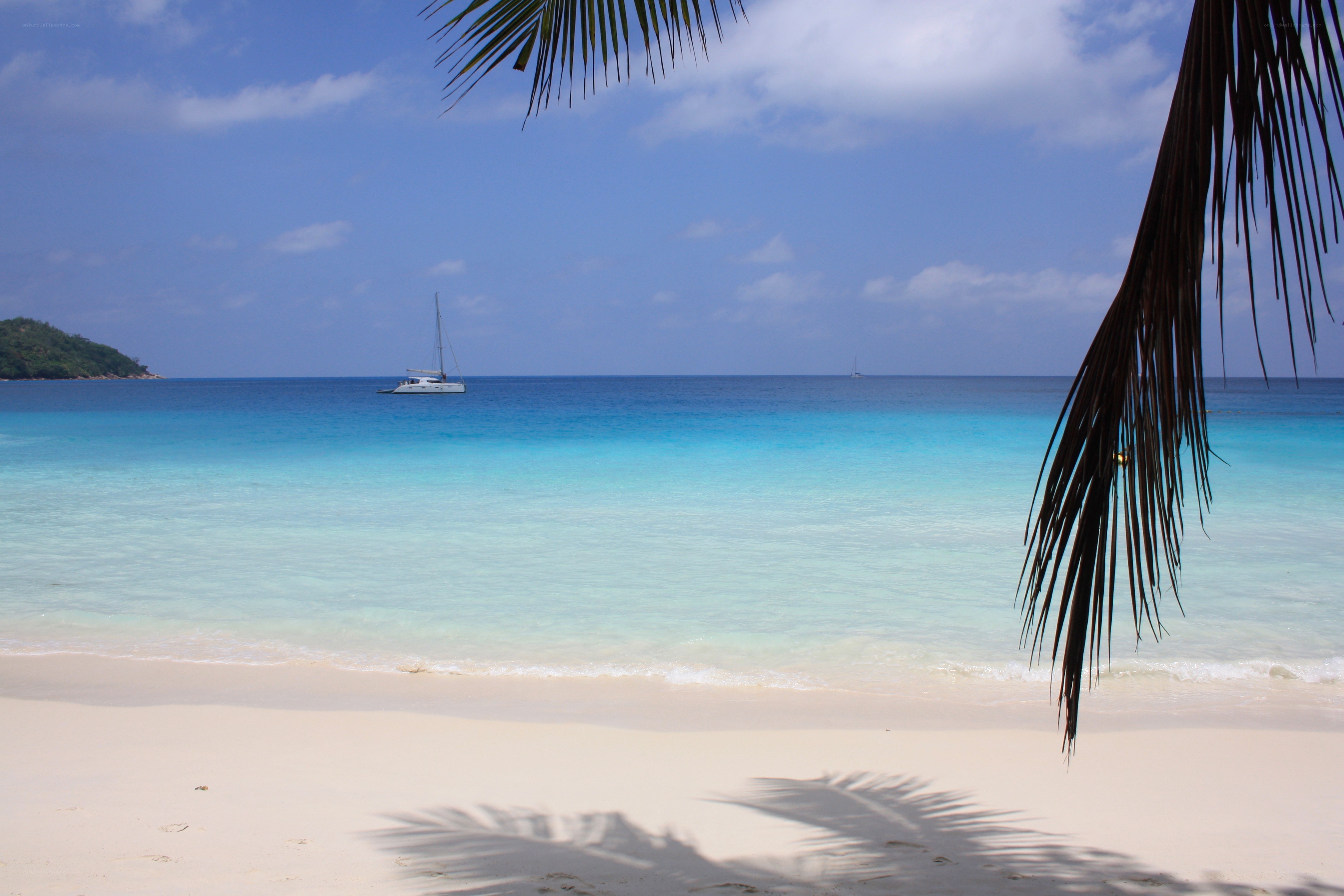 tropical beach with sailboat