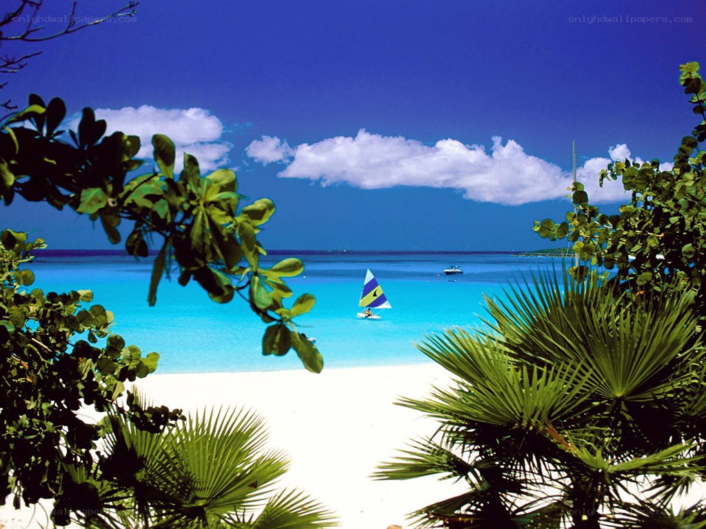 tropical beach with sailboat