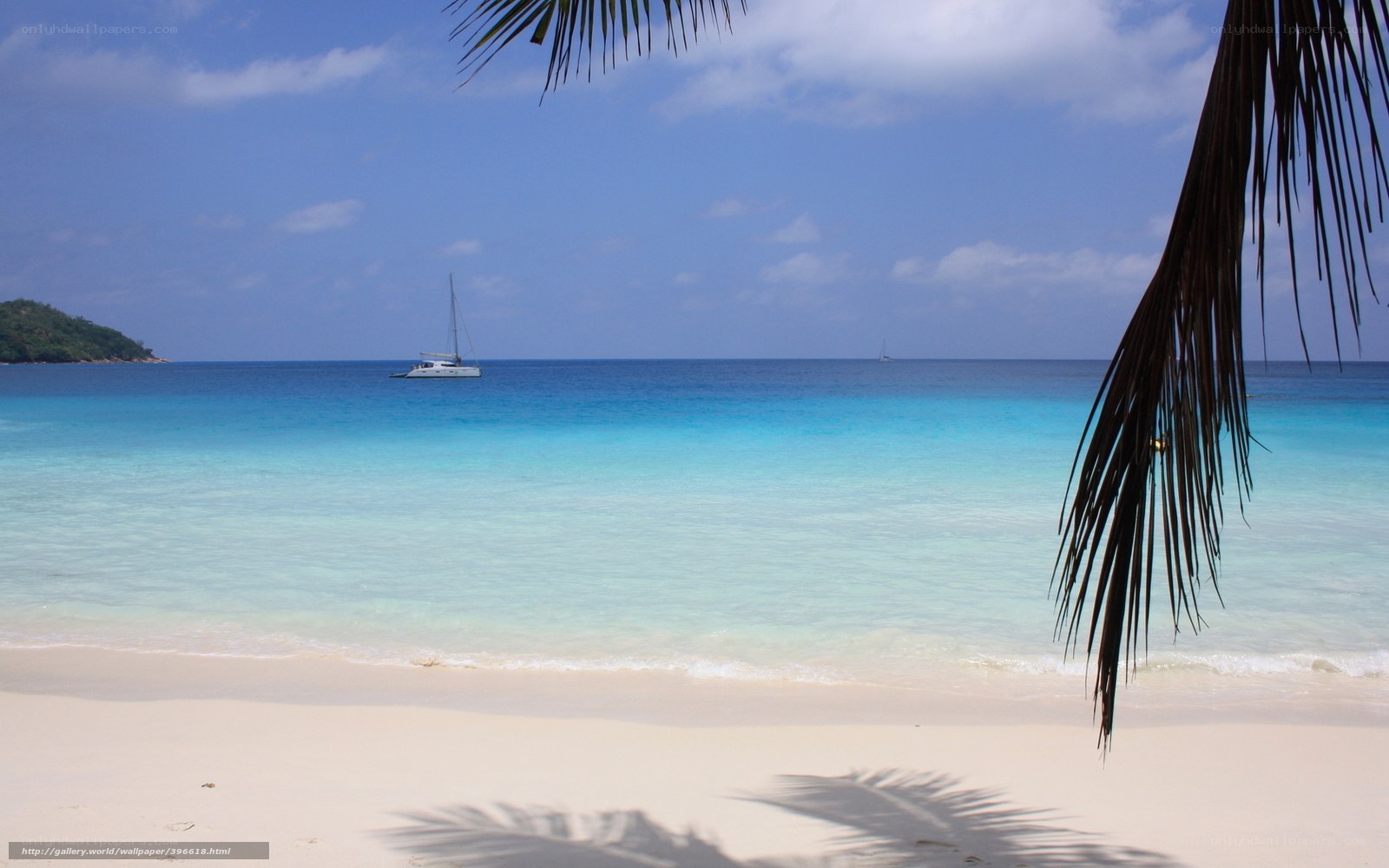 tropical beach with sailboat