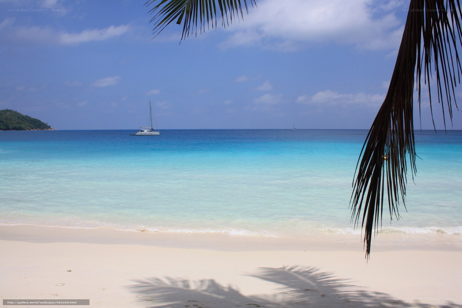 tropical beach with sailboat