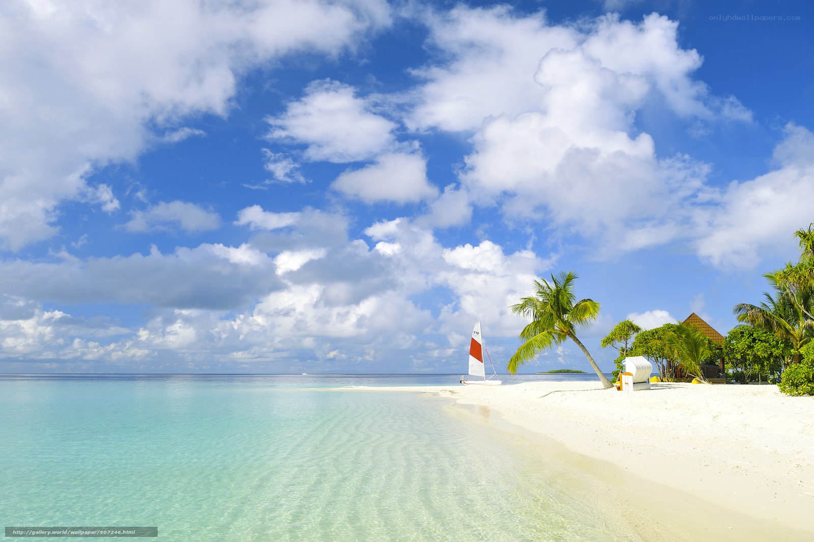 tropical beach with sailboat