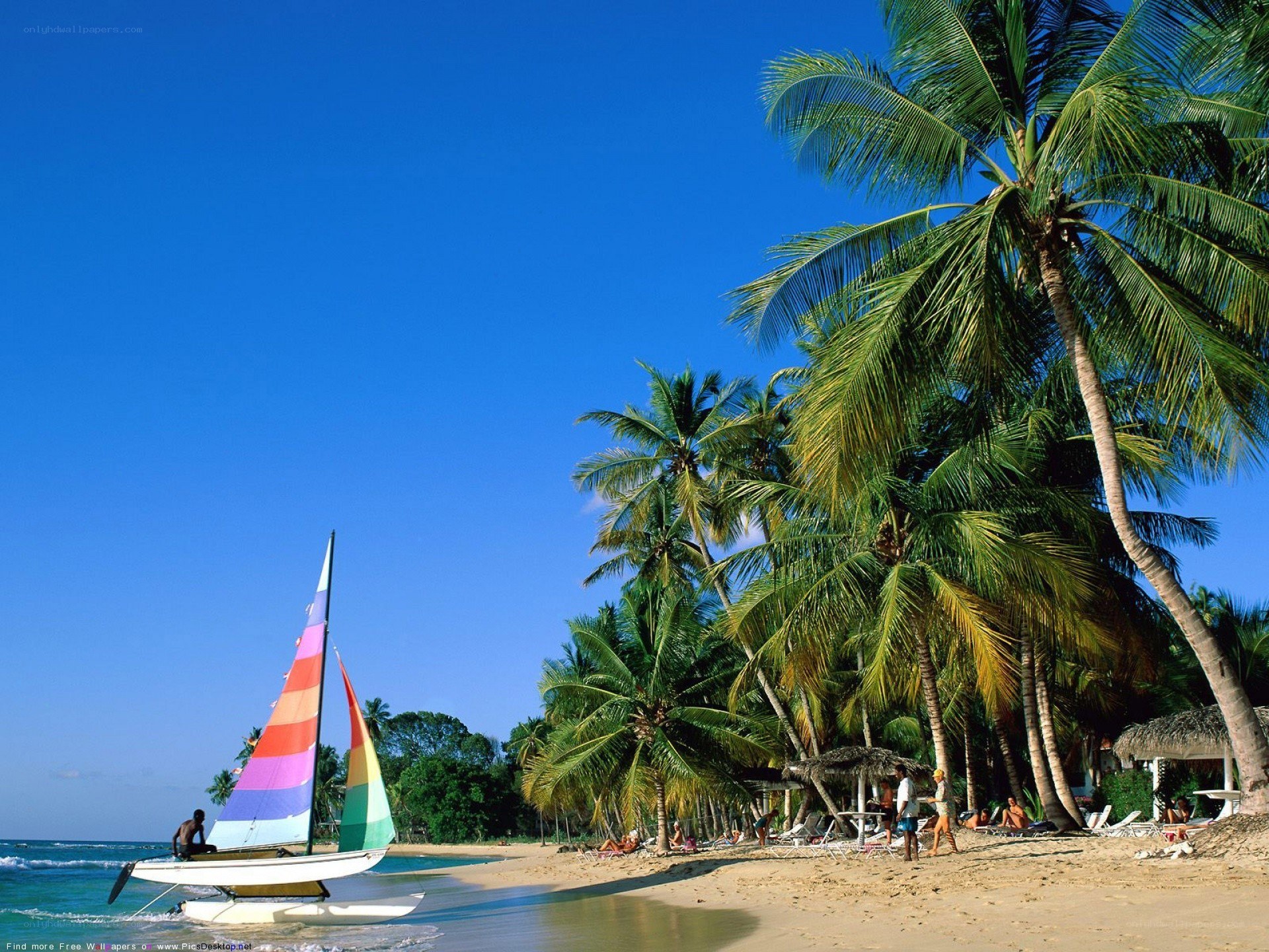 tropical beach with sailboat