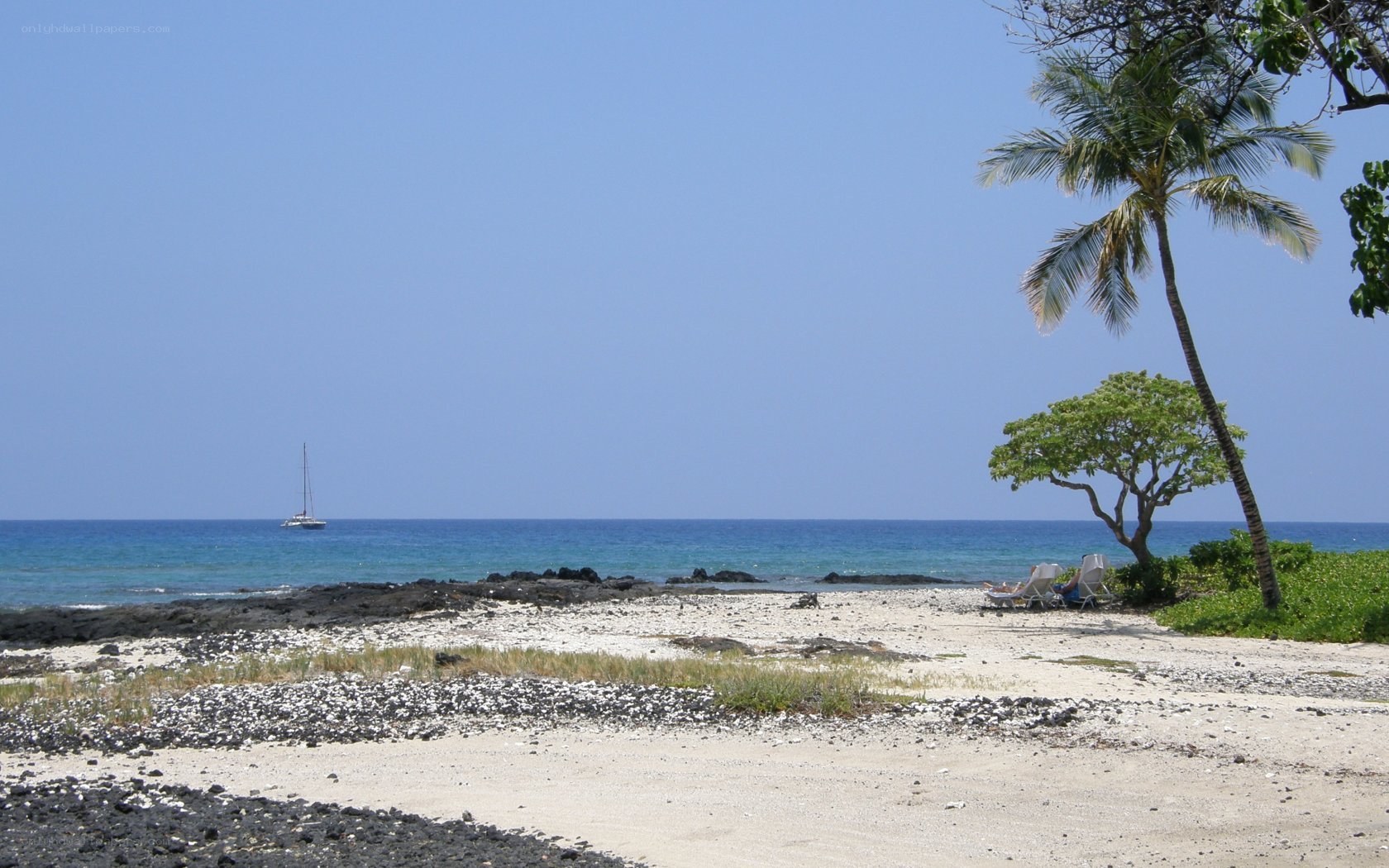 tropical beach with sailboat
