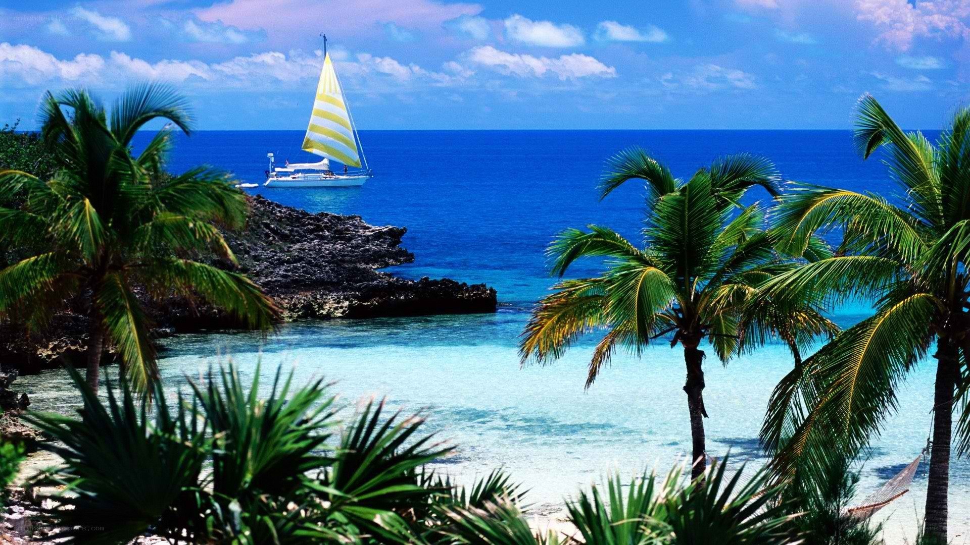 tropical beach with sailboat