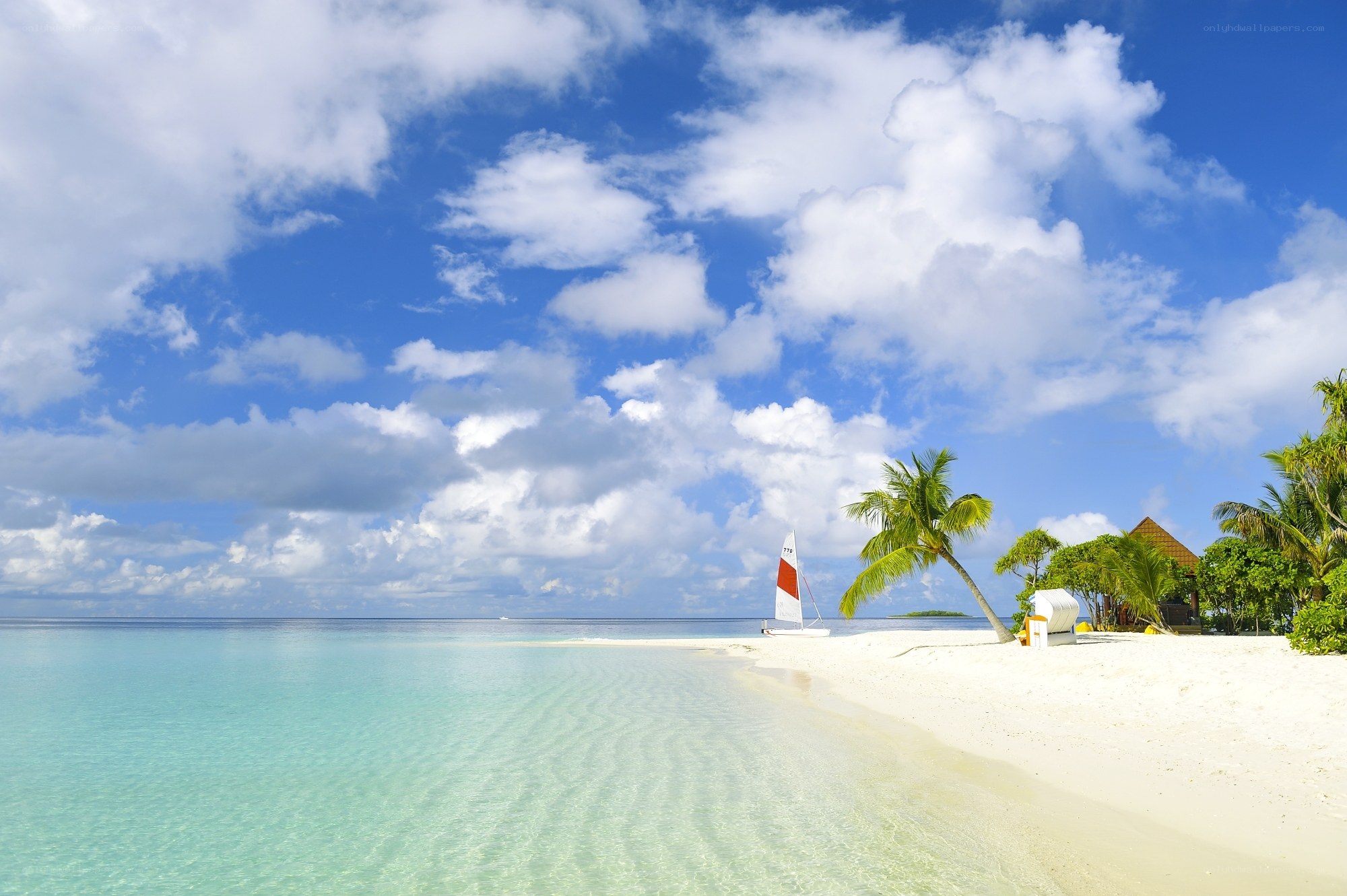 tropical beach with sailboat