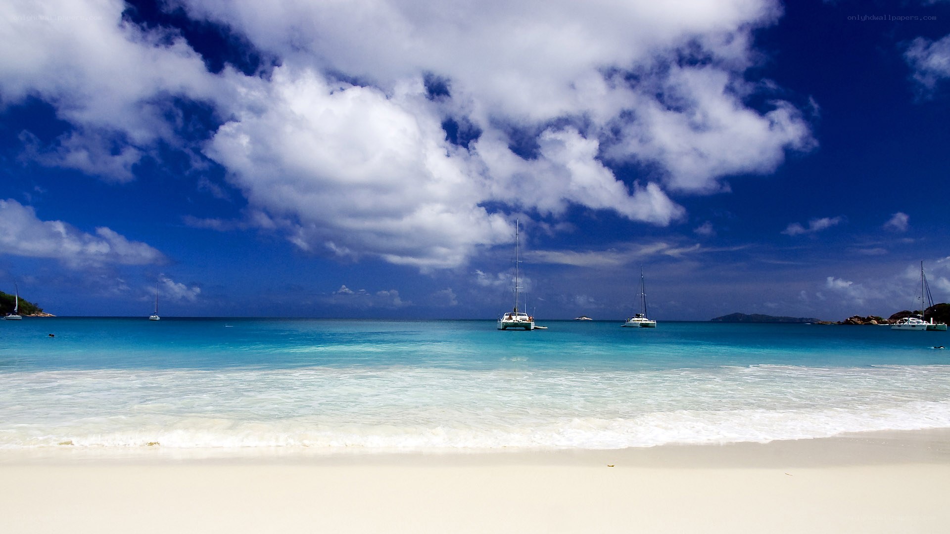 tropical beach with sailboats
