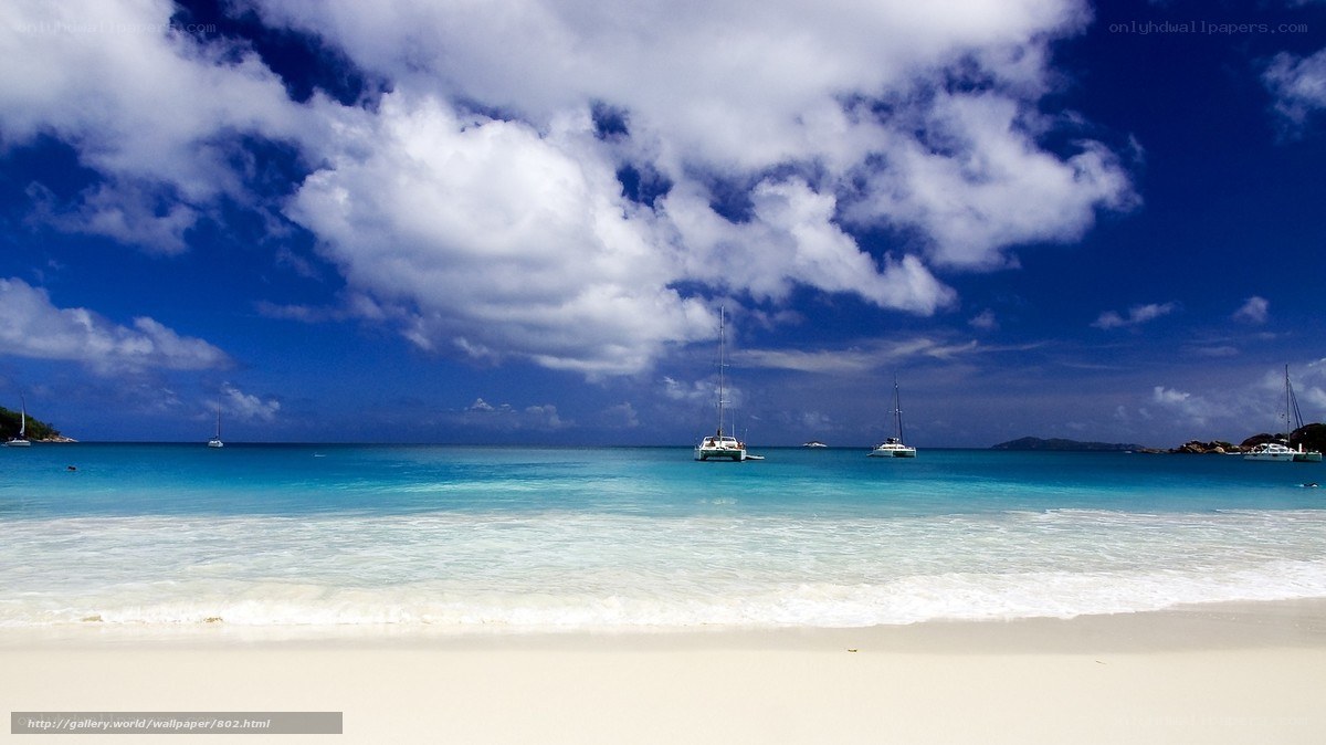 tropical beach with sailboats