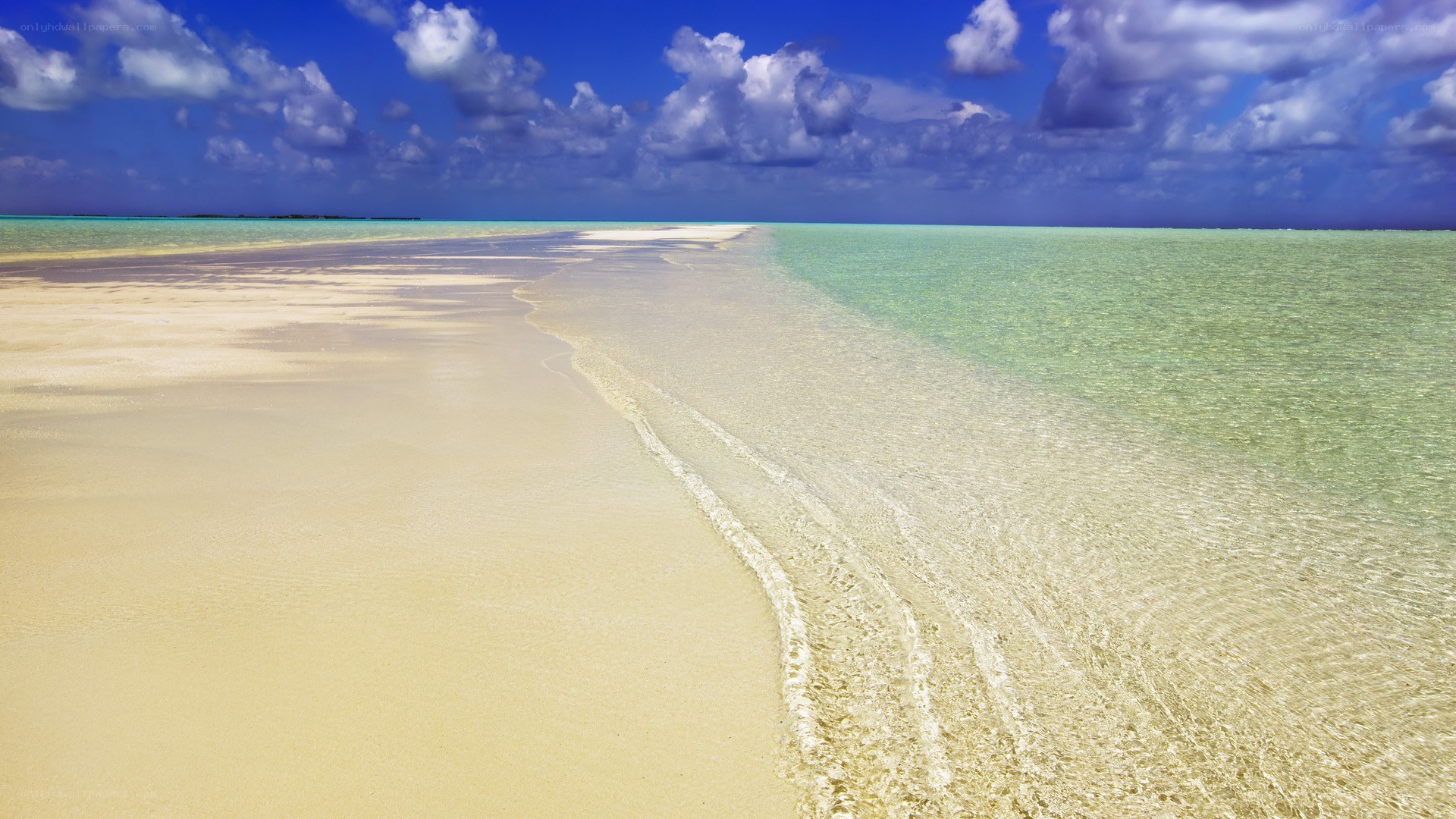 tropical beach with sandbar