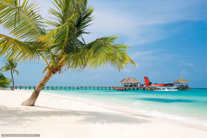 Tropical beach with seaplane