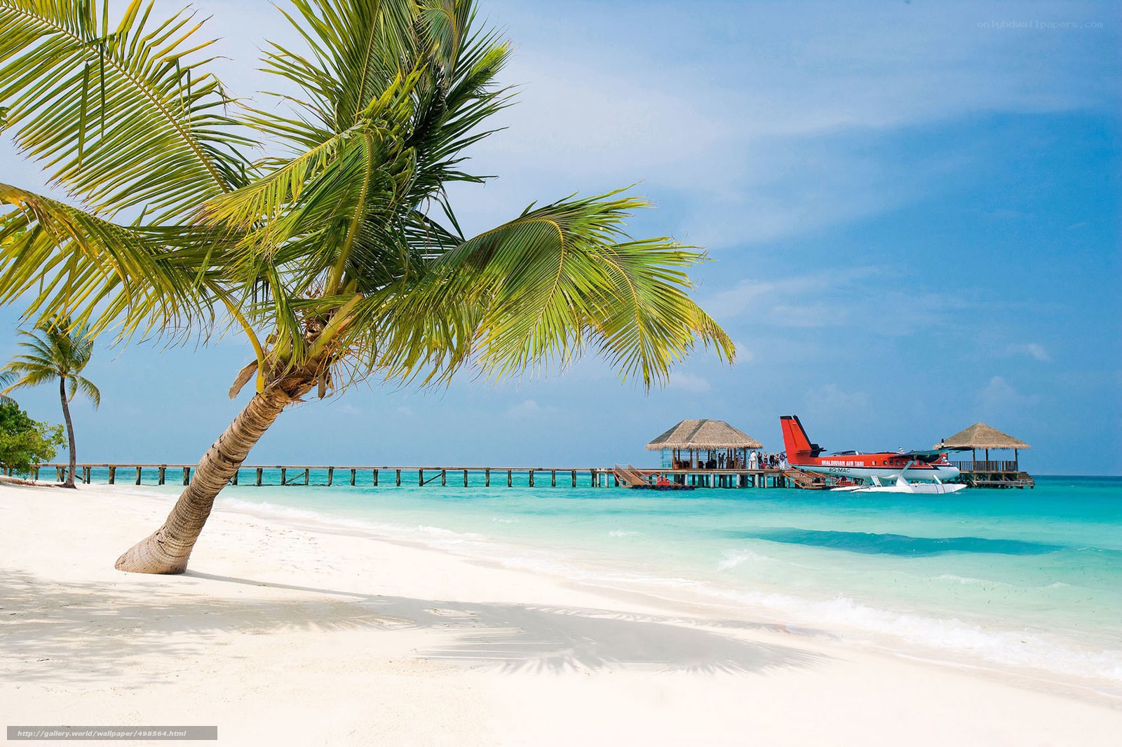 Tropical beach with seaplane
