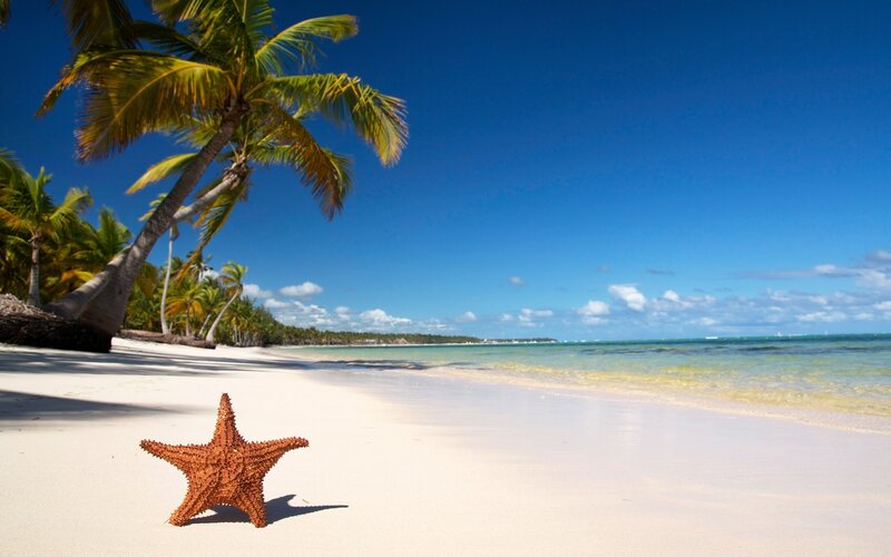 tropical beach with starfish