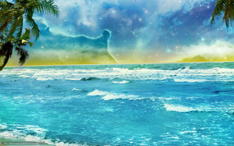 tropical beach with starry sky
