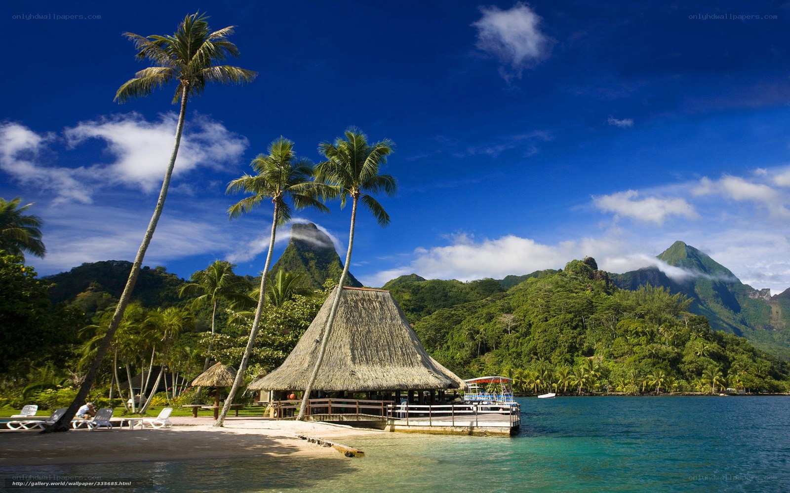 Tropical beach with thatched hut