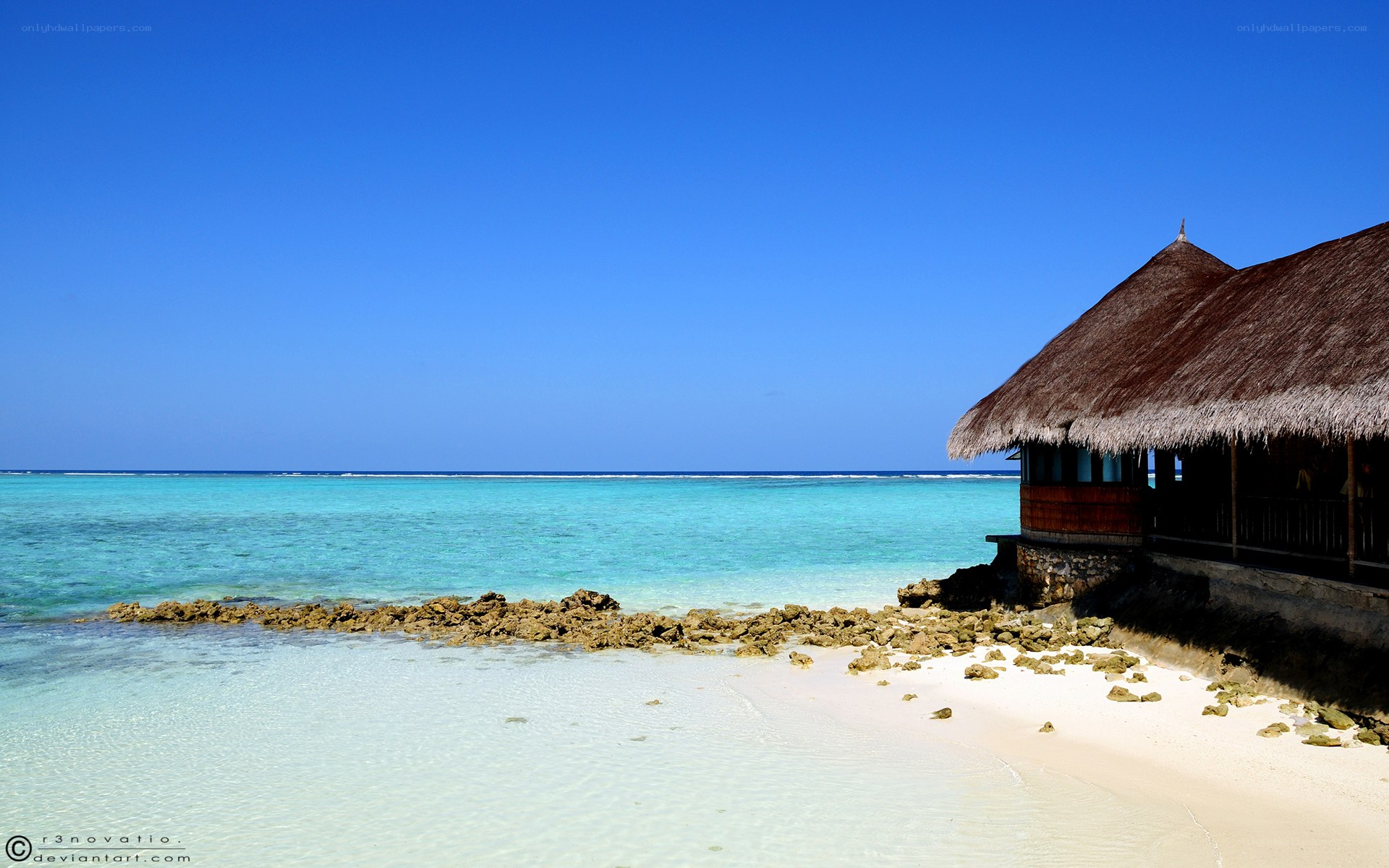 tropical beach with thatched hut