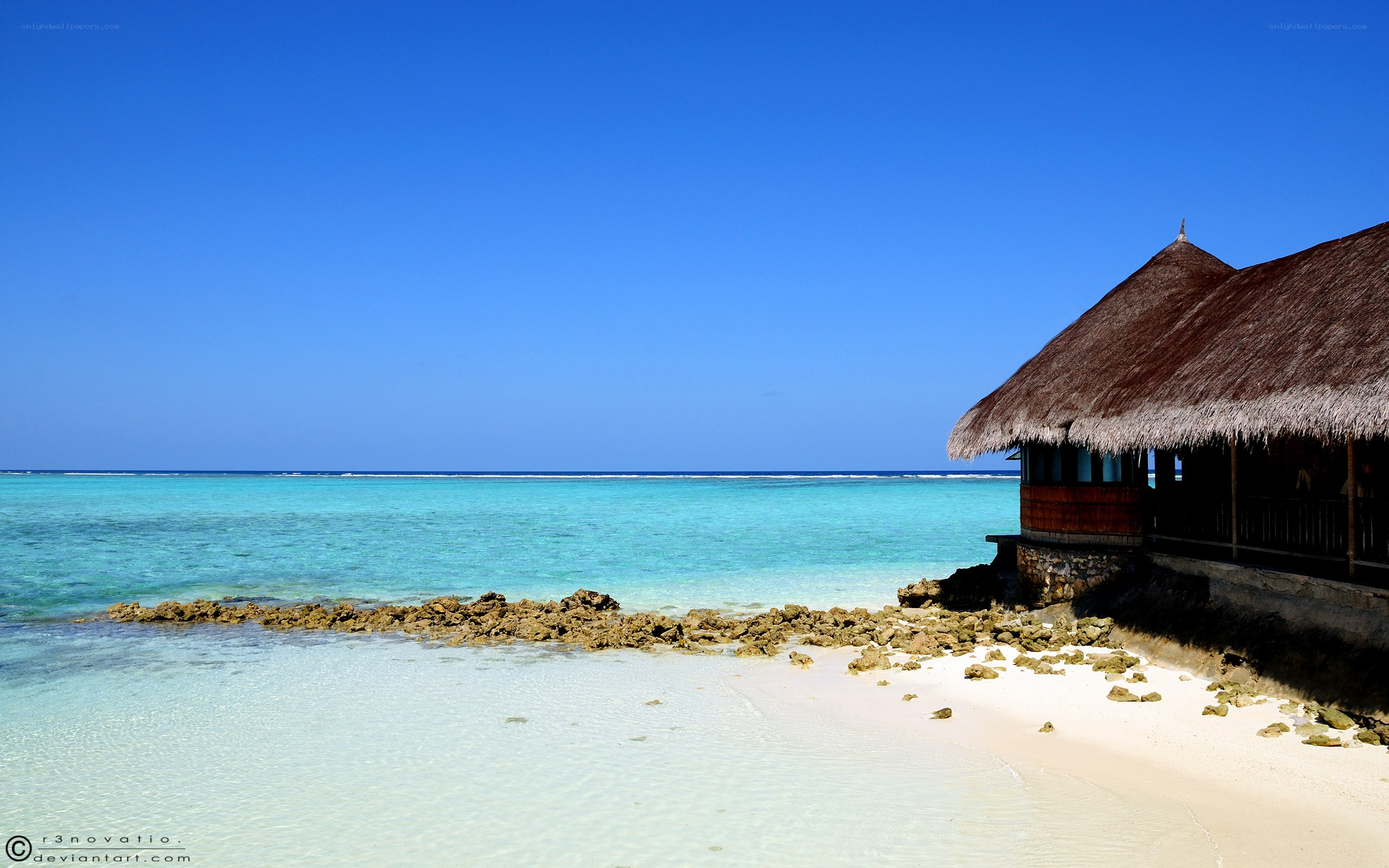Tropical beach with thatched hut
