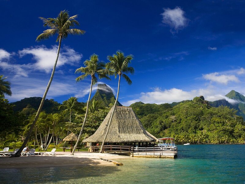 Tropical beach with thatched hut