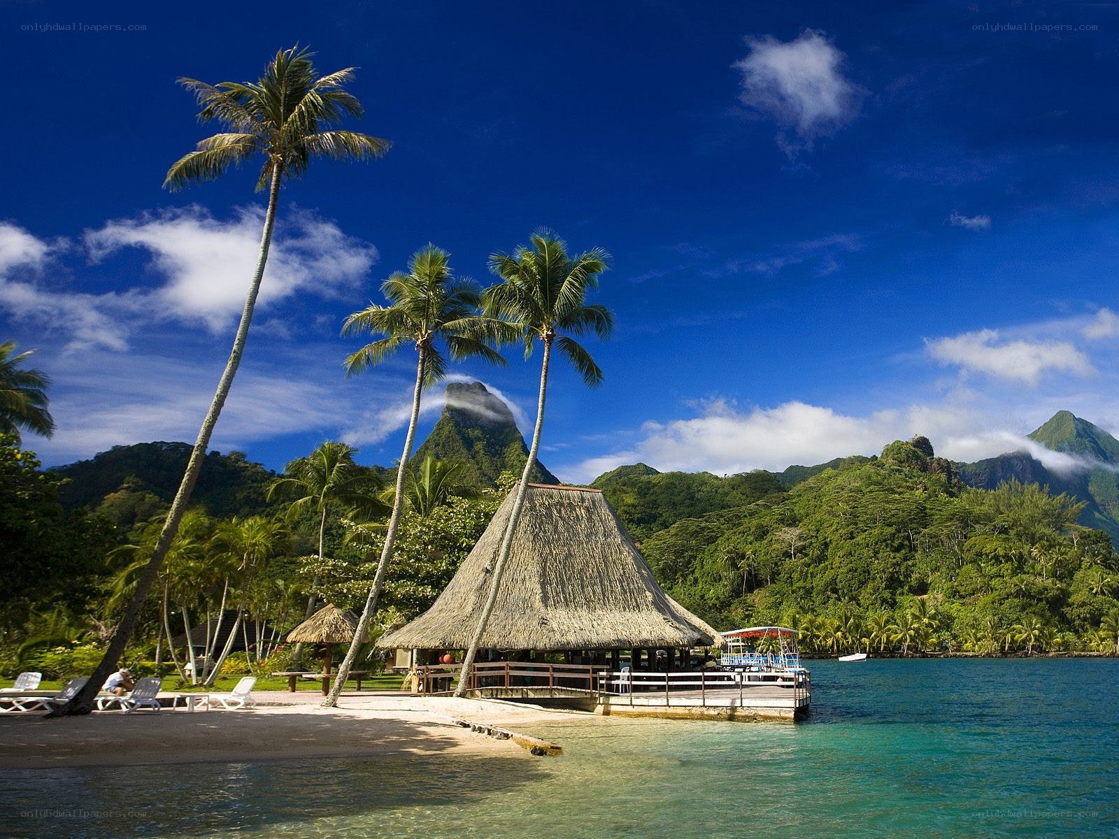 Tropical beach with thatched hut
