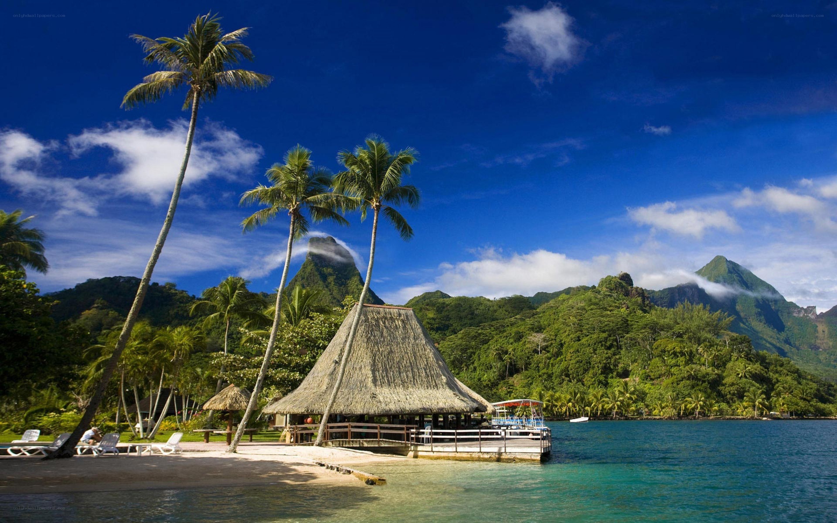 Tropical beach with thatched hut