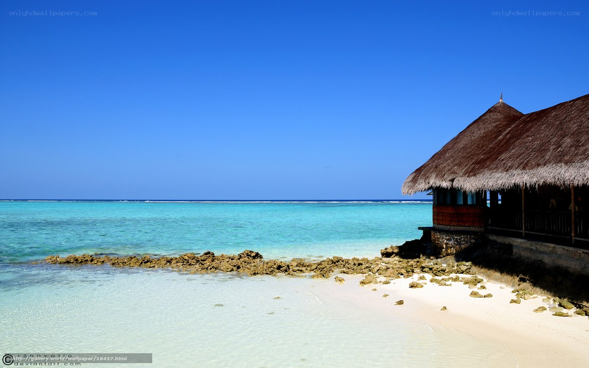 Tropical beach with thatched hut