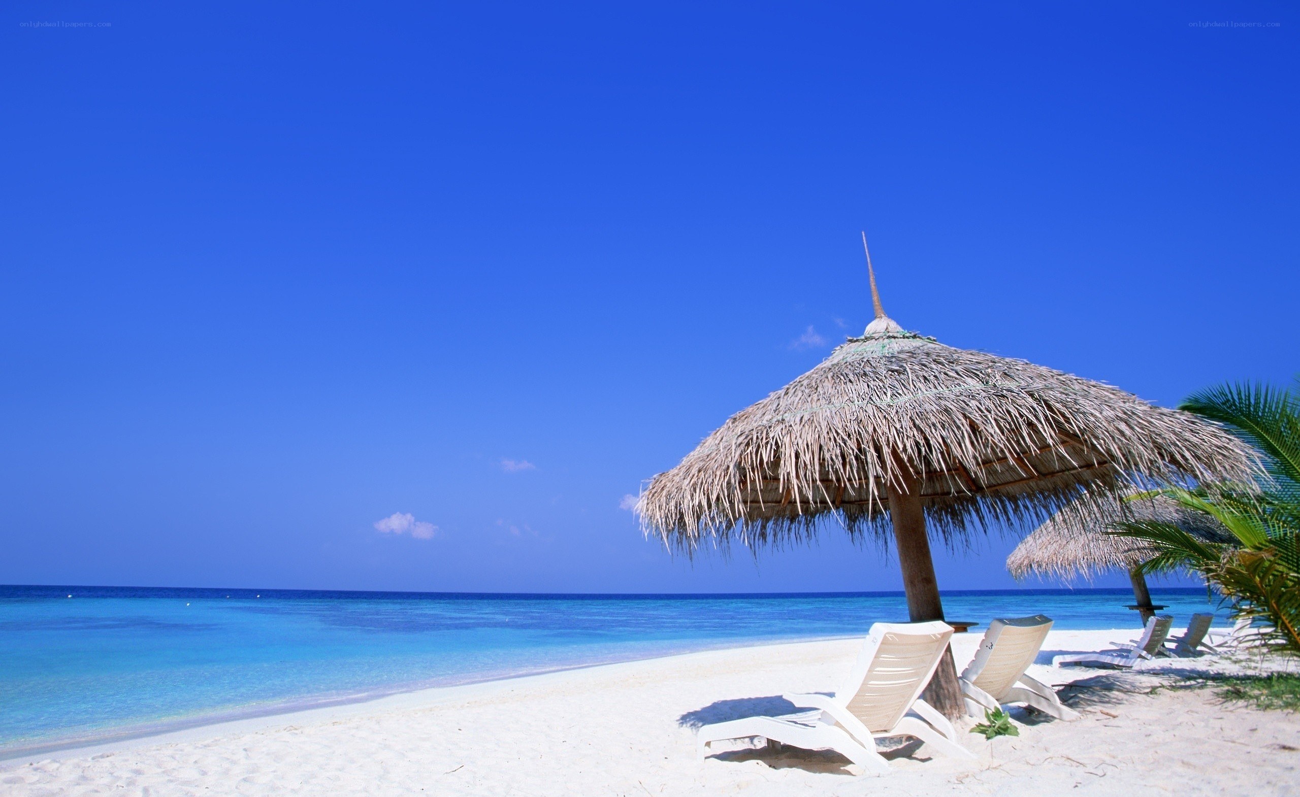 Tropical beach with thatched umbrella