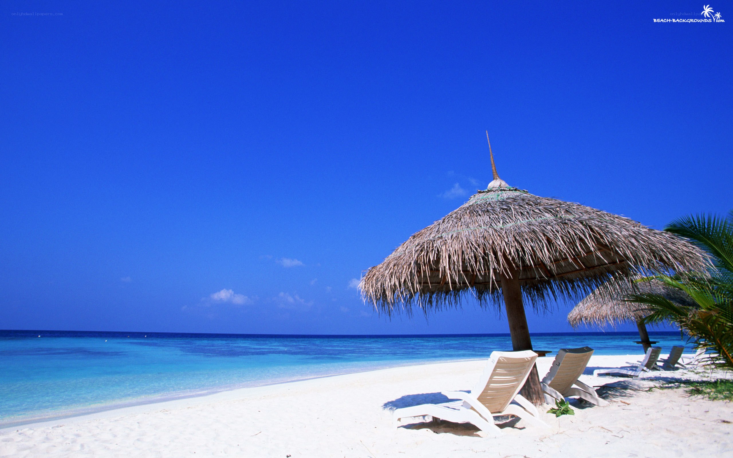 Tropical beach with thatched umbrellas